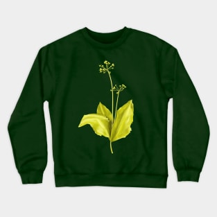 Wild Garlic Green Plant Botanical Art Crewneck Sweatshirt